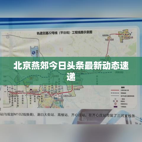 贵不可言 第2页