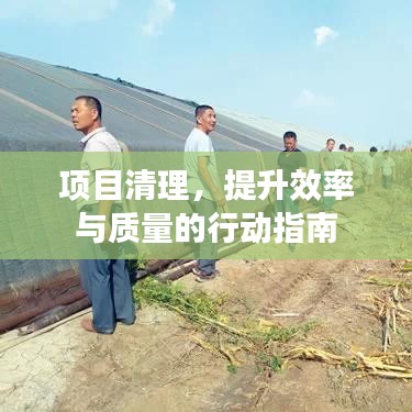 项目清理，提升效率与质量的行动指南
