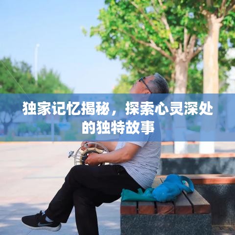 独家记忆揭秘，探索心灵深处的独特故事