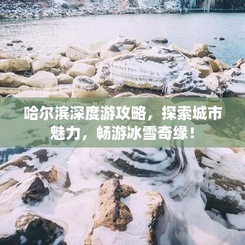 哈尔滨深度游攻略，探索城市魅力，畅游冰雪奇缘！