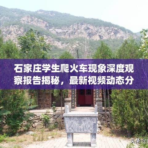 石家庄学生爬火车现象深度观察报告揭秘，最新视频动态分析