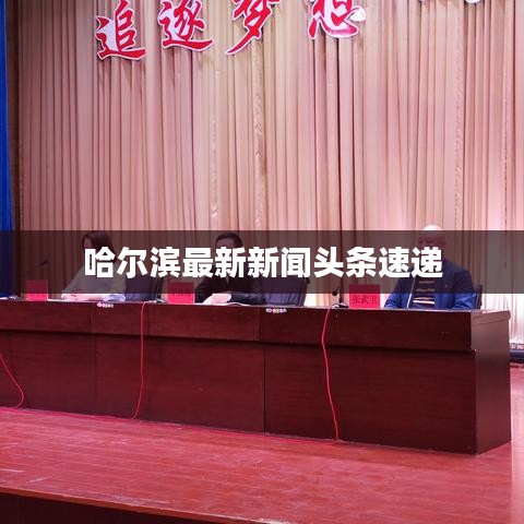 哈尔滨最新新闻头条速递
