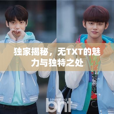独家揭秘，无TXT的魅力与独特之处