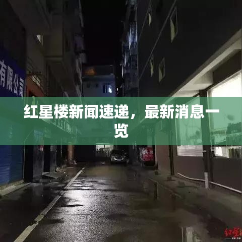 红星楼新闻速递，最新消息一览