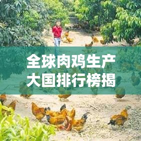津津有味