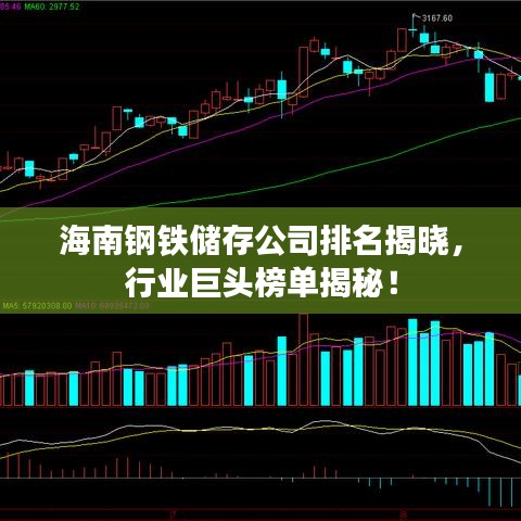 海南钢铁储存公司排名揭晓，行业巨头榜单揭秘！
