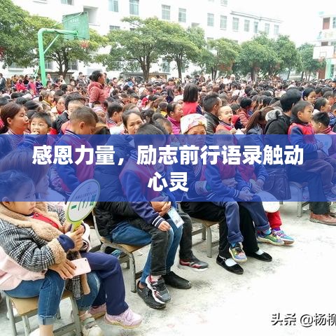 感恩力量，励志前行语录触动心灵