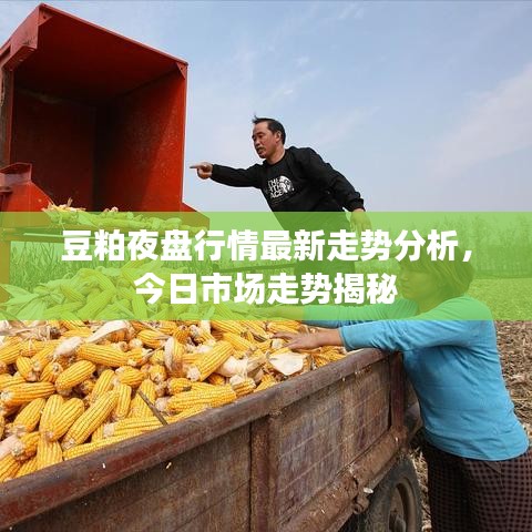 豆粕夜盘行情最新走势分析，今日市场走势揭秘