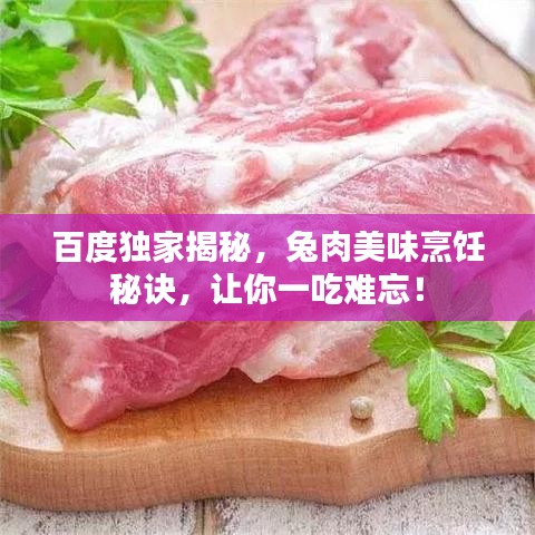 百度独家揭秘，兔肉美味烹饪秘诀，让你一吃难忘！