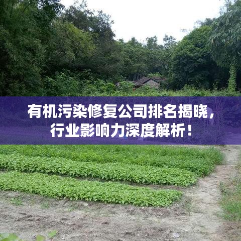 联系我们 第12页