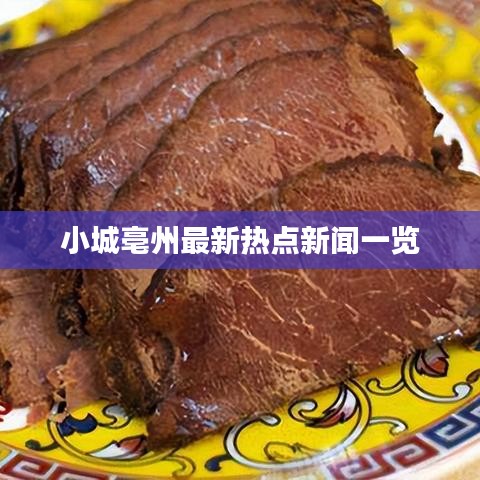 小城亳州最新热点新闻一览