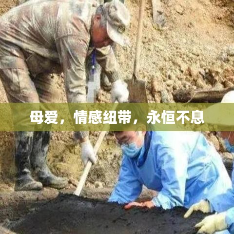 资质证书 第9页