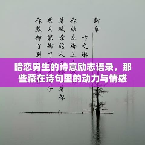 暗恋男生的诗意励志语录，那些藏在诗句里的动力与情感