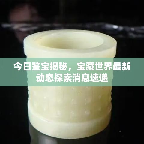 今日鉴宝揭秘，宝藏世界最新动态探索消息速递