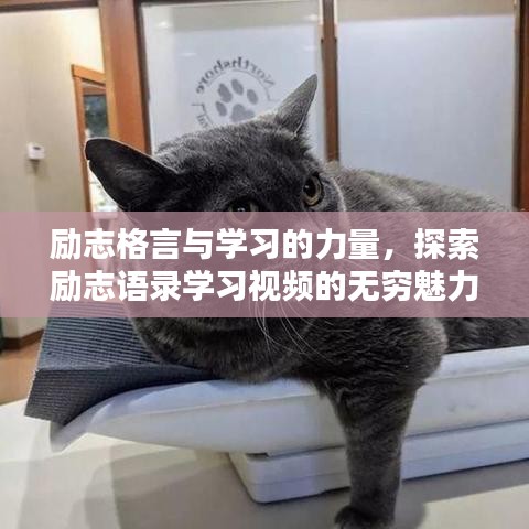 励志格言与学习的力量，探索励志语录学习视频的无穷魅力
