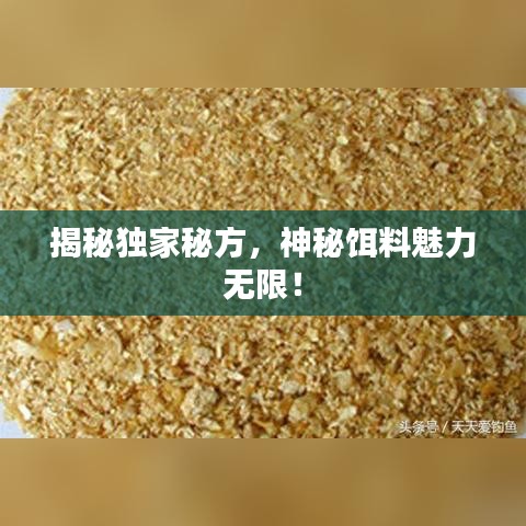 揭秘独家秘方，神秘饵料魅力无限！