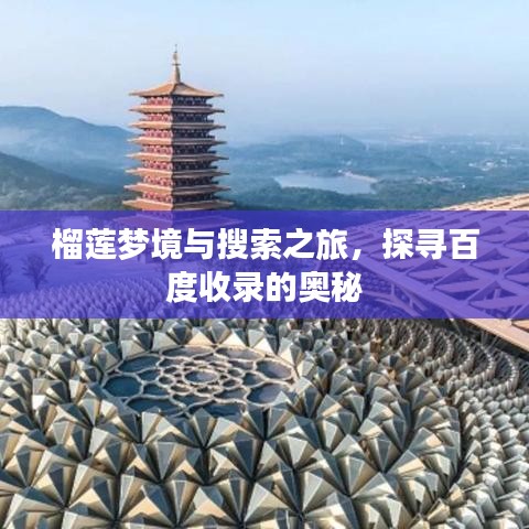 榴莲梦境与搜索之旅，探寻百度收录的奥秘