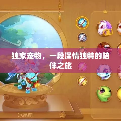 独家宠物，一段深情独特的陪伴之旅