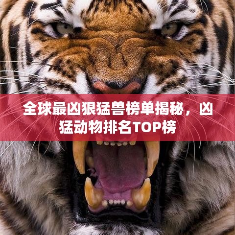 全球最凶狠猛兽榜单揭秘，凶猛动物排名TOP榜