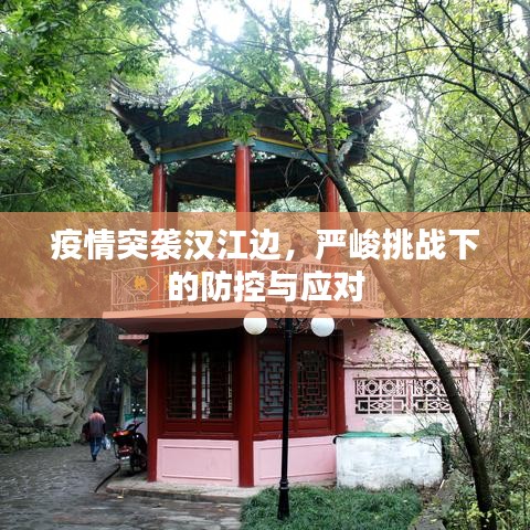 疫情突袭汉江边，严峻挑战下的防控与应对