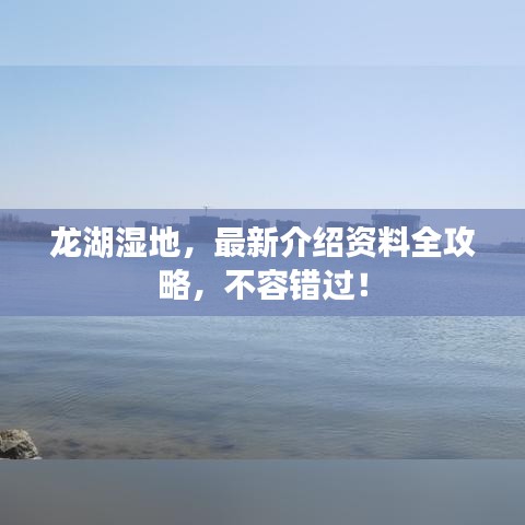 龙湖湿地，最新介绍资料全攻略，不容错过！