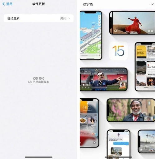 ios新版本更新,实地考察数据设计_YE版_v5.796