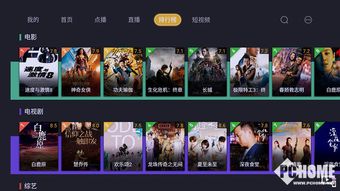 三款最佳后宫游戏下载官方软件的横向评测