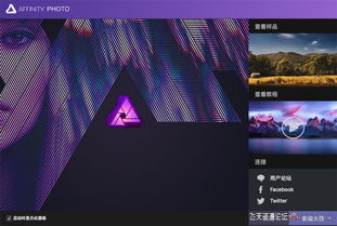 文字软件官方下载,精细化解读说明&amp;动态版_v7.706