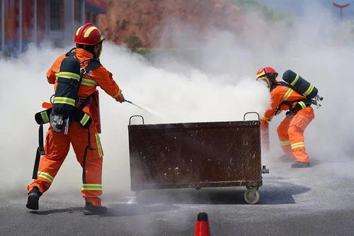 财富通官方网站下载，网络安全精英软件的深度解析与实时防护能力