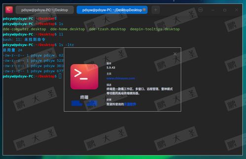 airav 官方下载,数据解析导向策略_精英版_v7.942