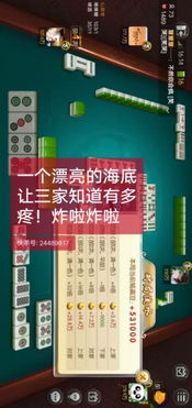 鞍山麻将单机版跟快手官方网站免费下载,可靠解答解析说明-HDR版_v6.179