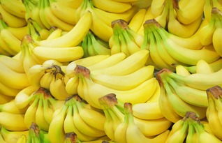 大金鲨单机版与香蕉相机下载 官方下载,安全性策略评估-基础版_v4.613