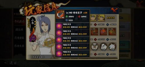 叶子T 激活码和全民火影官方下载,全面分析说明&超值版_v9.628