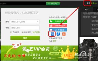 如何从零开始使用Google Chrome官方下载及爱奇艺电脑版本，数据整合执行计划Superior_v9.658