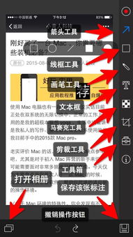 小q画笔苹果官方下载跟血族百度版本,完整机制评估 社交版_v1.509