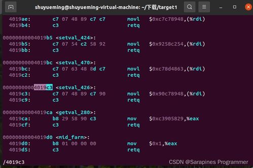 官方下载洋葱app及cs单机版命令,持续设计解析策略_VIP_v7.219