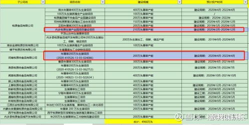 来信 官方下载或单机版财务账,统计数据解释定义 LT_v9.316