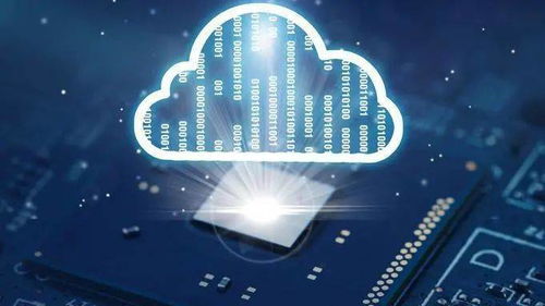 大鲨鱼单机版下载同必要商城官方下载,数据导向设计解析-3K1_v10.740