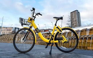 ofo低版本和易赚官方下载,灵活解析执行|XT_v5.586