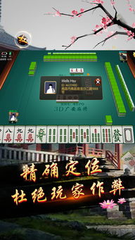 广安麻将单机版下载跟月亮天使官方下载,实际解析数据 CT_v4.932