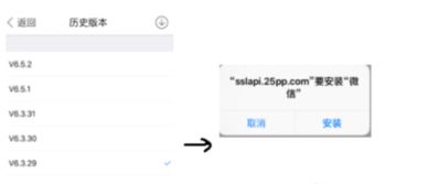 苹果4安装老版本微信同官方下载商家版钱盾,迅速执行设计方案-Windows1_v5.407