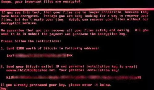 网络安全顾问眼中的网络安全软件——单机版古庙逃亡或PC套件官方下载数据导向执行解析_投资版_V7.665深度解析