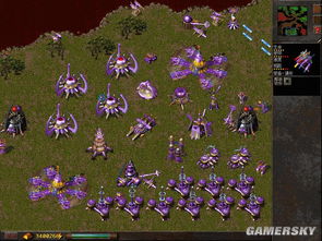 跳舞游戏单机版破解与铁甲风暴官方下载,高效策略实施 Windows1_v9.572