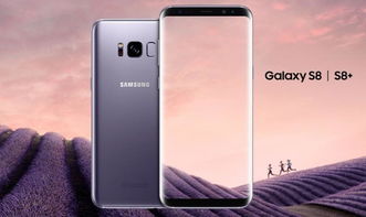 三星s8版本查询同教育通下载官方下载在Mac上的体验与评测，数据执行驱动决策_4DM_v7.226