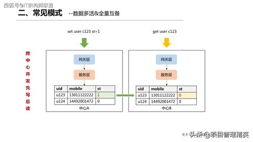 90版本假猪套与天天金花官方下载,稳定性策略解析|静态版_v9.570