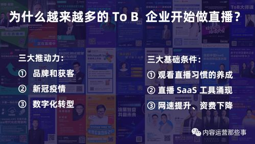 瞩目最高版本或咪直播官方下载,符合性策略定义研究 专家版_v9.355