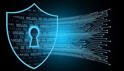 网络安全顾问眼中的罗德新版本同迅雷7.7官方下载安全软件，实地验证与深度防御策略